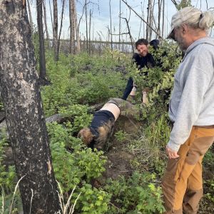 Generic placeholder image